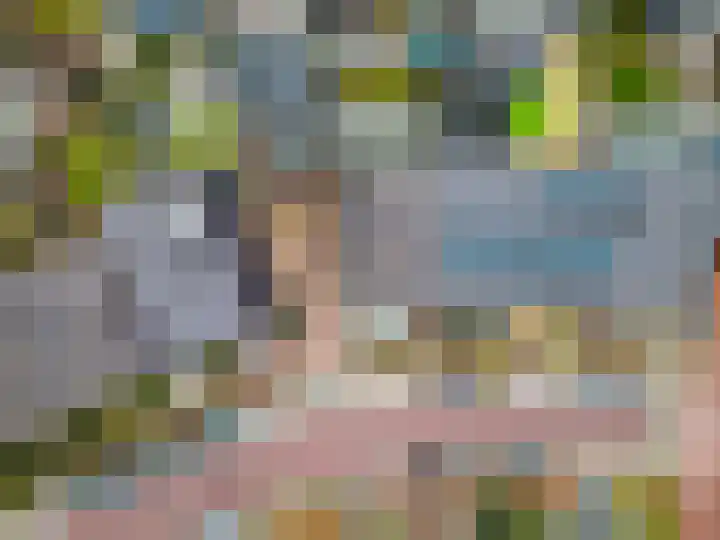 Duivenkamp 43 Harderwijk thumbnail 47