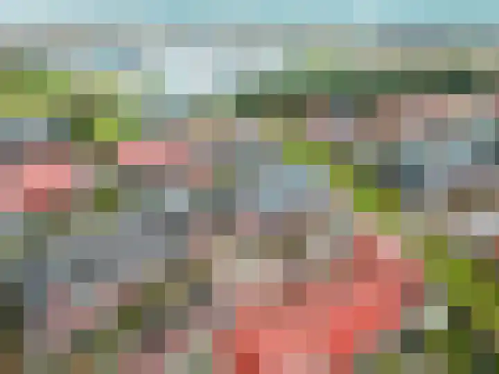 Duivenkamp 43 Harderwijk thumbnail 48