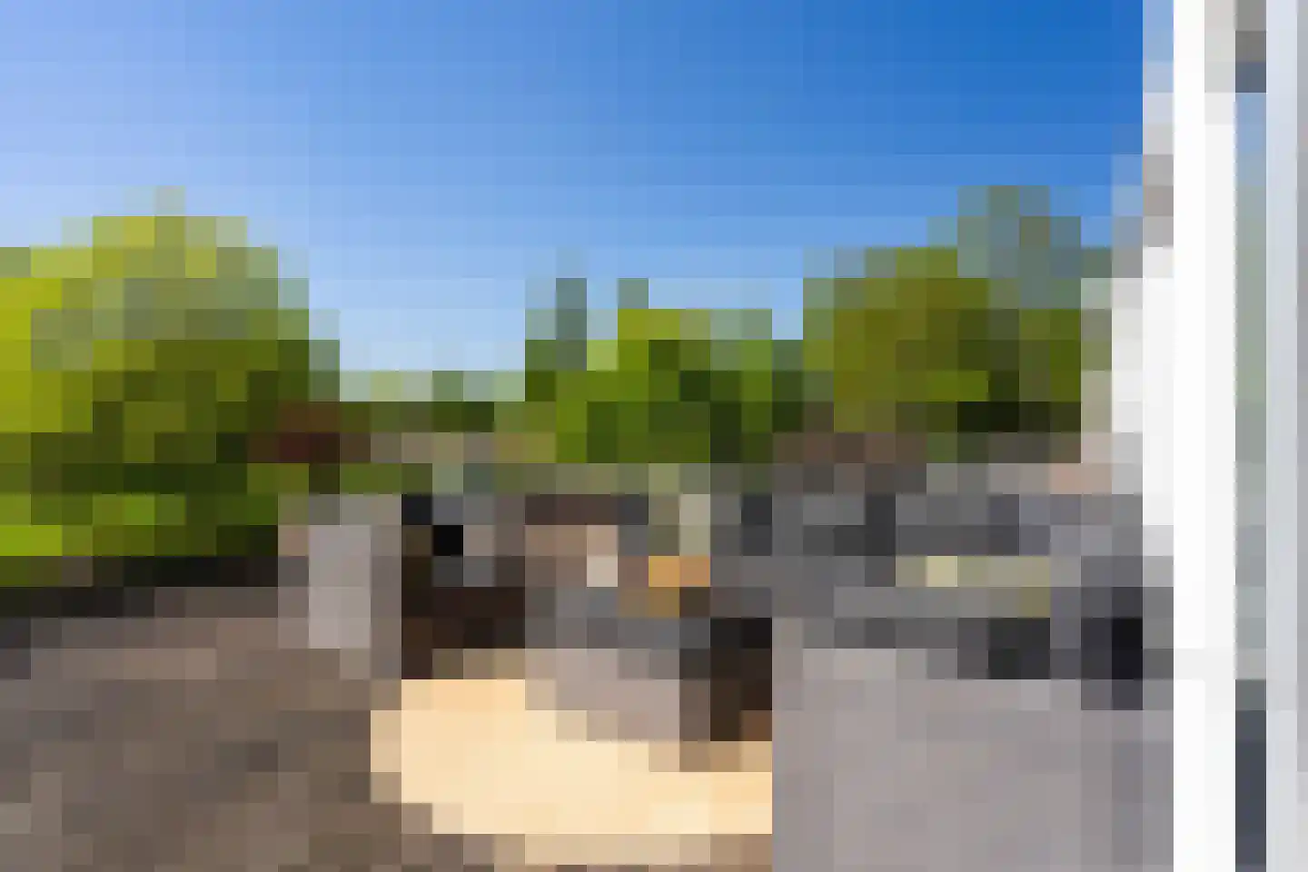 Duivenkamp 437 b Maarssen thumbnail 20
