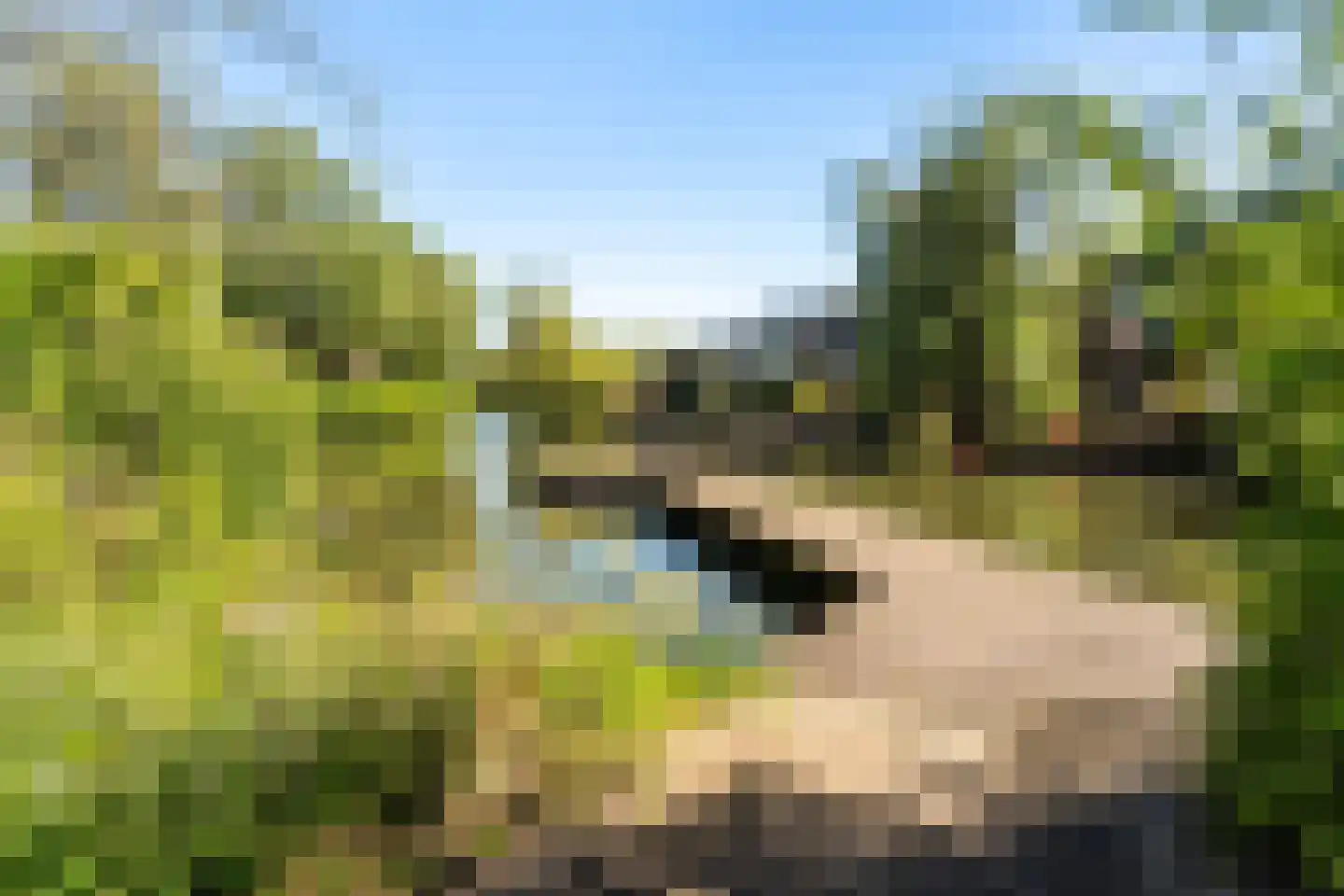 Duivenkamp 437 b Maarssen thumbnail 26