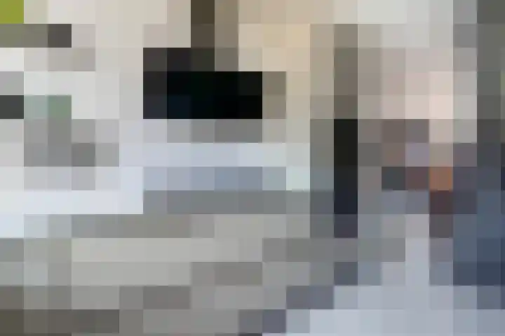 Duivenkamp 438 Maarssen thumbnail 14