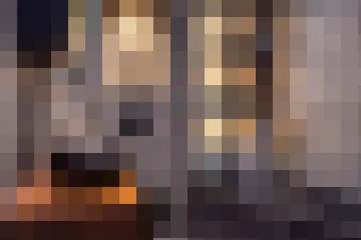 Duivenkamp 438 Maarssen thumbnail 29