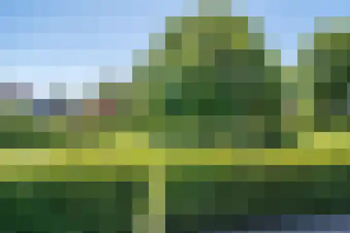 Duivenkamp 438 Maarssen thumbnail 48