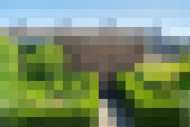 Duivenkamp 438 Maarssen thumbnail 49
