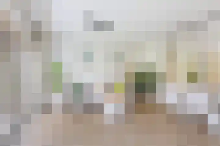 Duivenkamp 55 Maarssen thumbnail 11