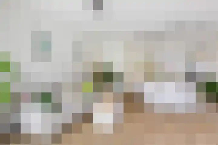 Duivenkamp 55 Maarssen thumbnail 14