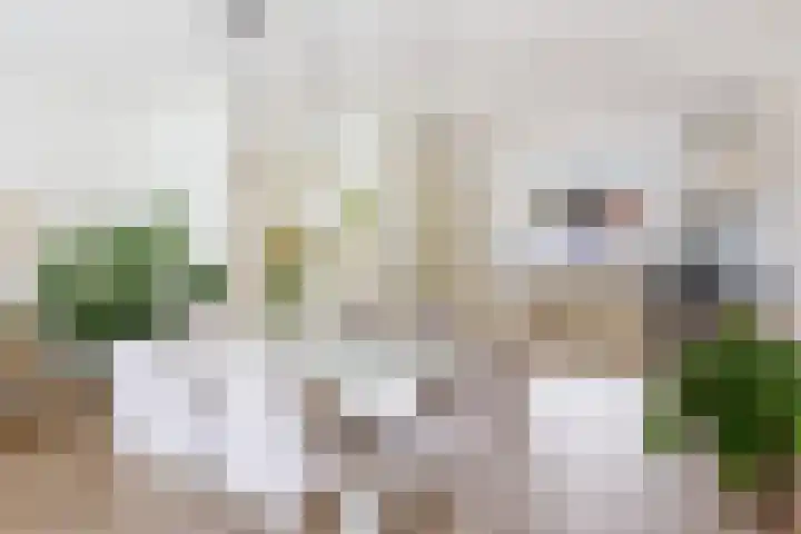 Duivenkamp 55 Maarssen thumbnail 16