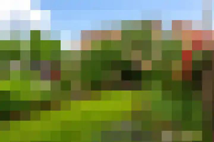 Duivenkamp 55 Maarssen thumbnail 33