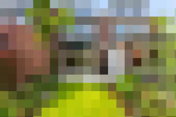 Duivenkamp 55 Maarssen thumbnail 34