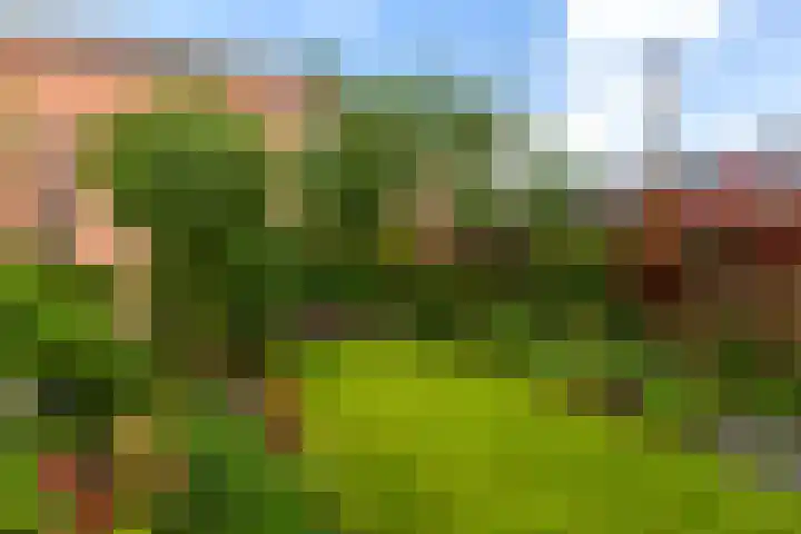 Duivenkamp 55 Maarssen thumbnail 35