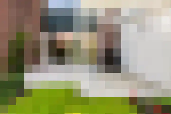 Duivenkamp 55 Maarssen thumbnail 36