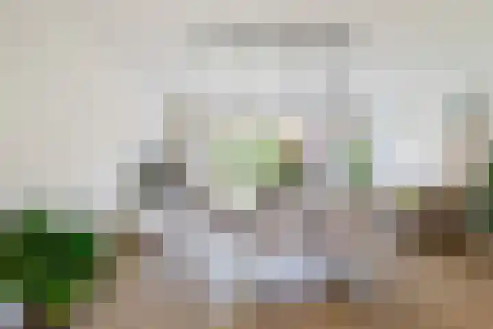 Duivenkamp 55 Maarssen thumbnail 9