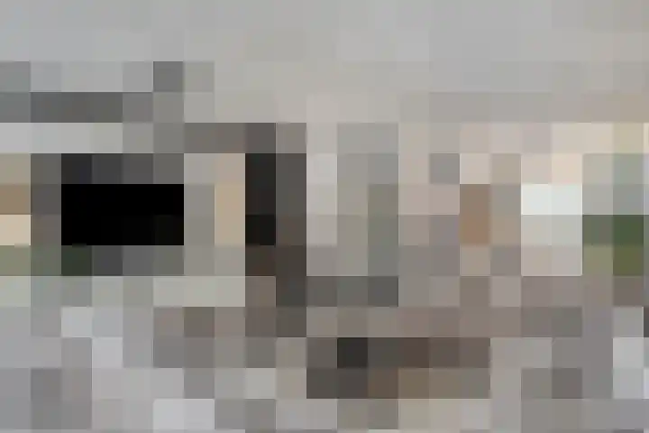 Duivenkamp 56 Maarssen thumbnail 11