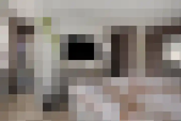 Duivenkamp 56 Maarssen thumbnail 19