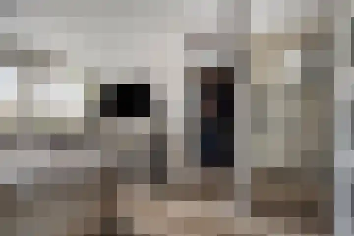 Duivenkamp 56 Maarssen thumbnail 20
