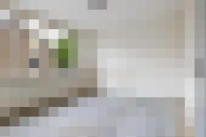 Duivenkamp 564 Maarssen thumbnail 15