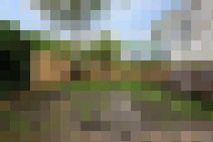 Duivenkamp 564 Maarssen thumbnail 22