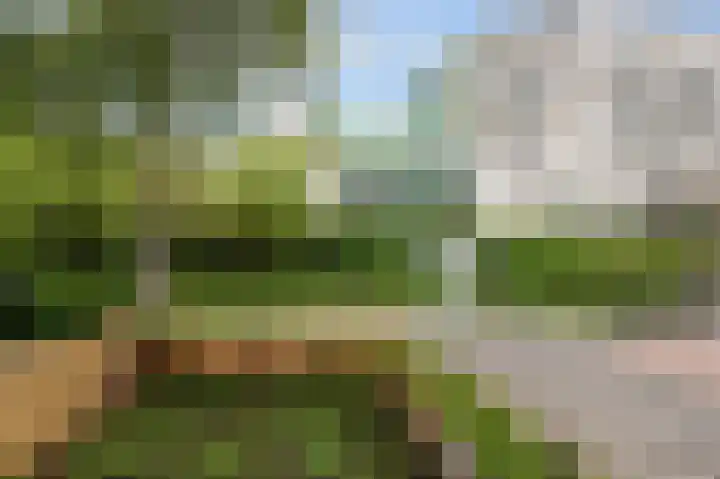 Duivenkamp 564 Maarssen thumbnail 23