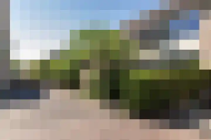 Duivenkamp 572 Maarssen thumbnail 27
