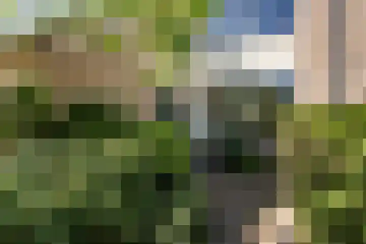 Duivenkamp 572 Maarssen foto 3