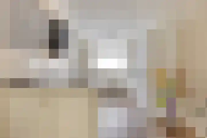 Duivenkamp 60 Maarssen thumbnail 15
