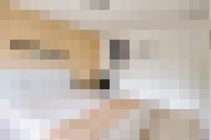 Duivenkamp 60 Maarssen thumbnail 19