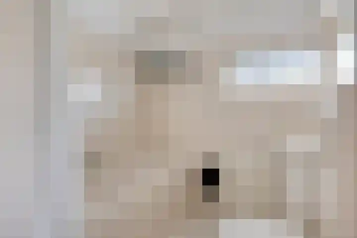 Duivenkamp 60 Maarssen thumbnail 21