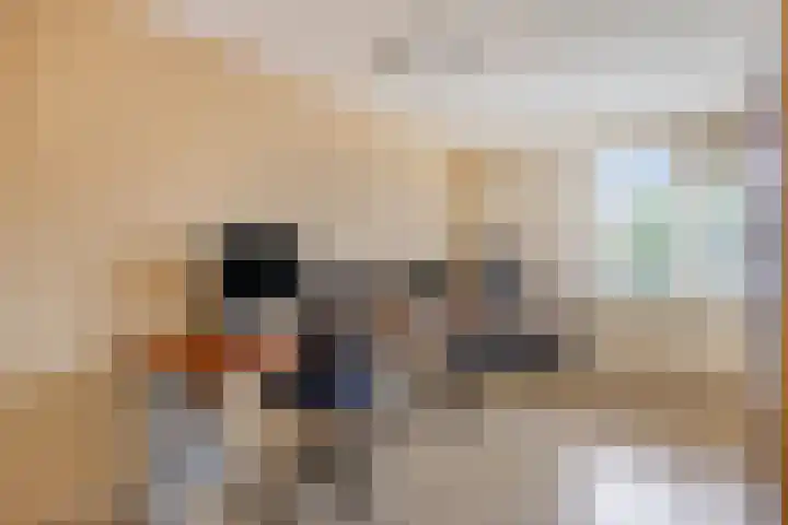 Duivenkamp 60 Maarssen thumbnail 22