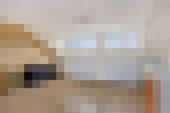 Duivenkamp 60 Maarssen thumbnail 26