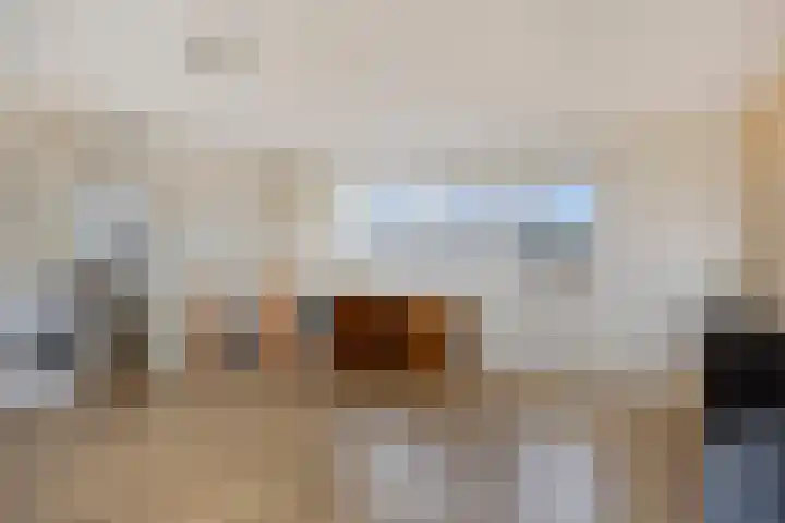 Duivenkamp 60 Maarssen thumbnail 27
