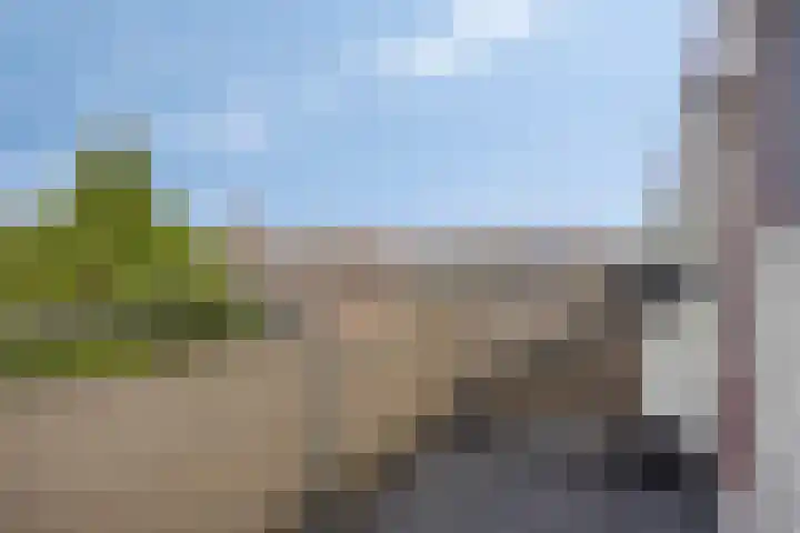 Duivenkamp 60 Maarssen thumbnail 29