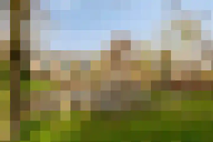 Duivenkamp 60 Maarssen thumbnail 32