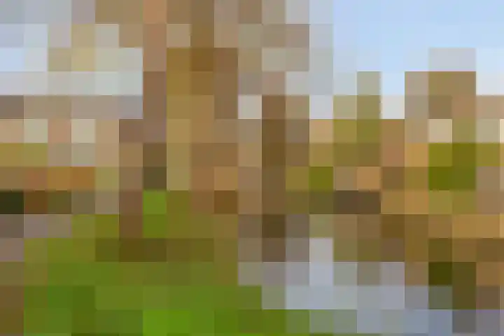 Duivenkamp 60 Maarssen thumbnail 33
