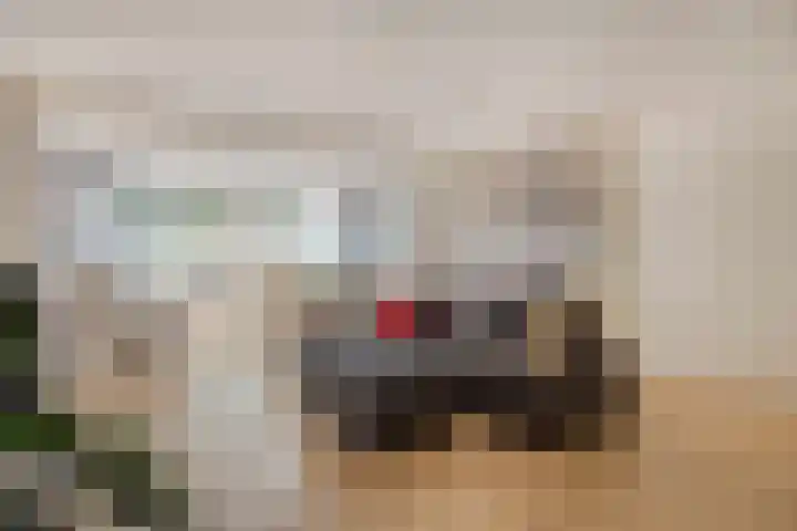 Duivenkamp 60 Maarssen thumbnail 6