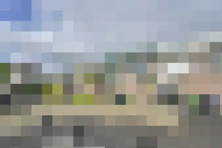 Duivenkamp 742 Maarssen thumbnail 28