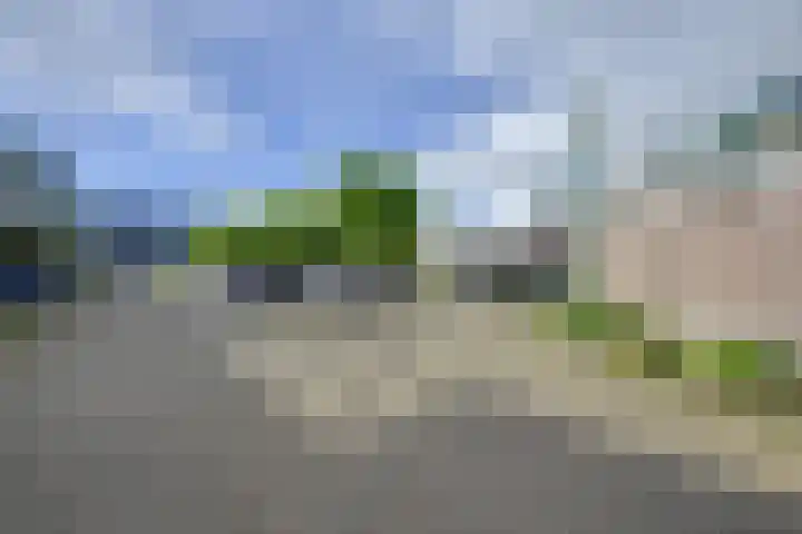 Duivenkamp 742 Maarssen thumbnail 30