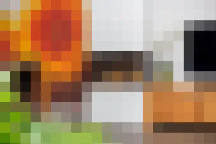 Duivenkamp 77 Maarssen thumbnail 19