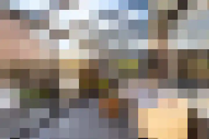 Duivenkamp 77 Maarssen thumbnail 21