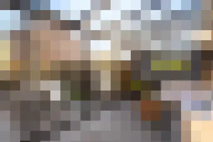 Duivenkamp 77 Maarssen thumbnail 22