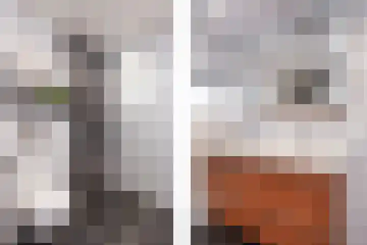 Duivenkamp 77 Maarssen thumbnail 26