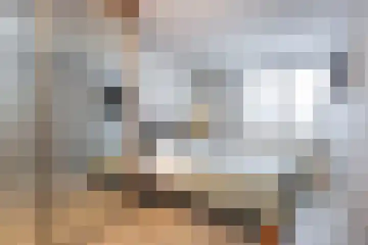 Duivenkamp 77 Maarssen thumbnail 32