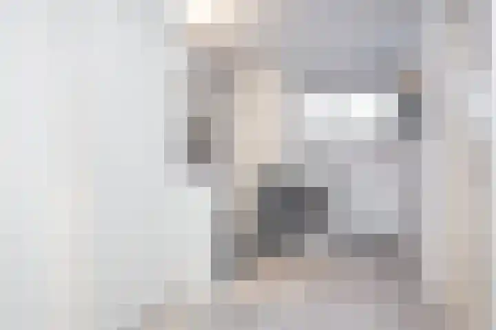 Duivenkamp 77 Maarssen thumbnail 37