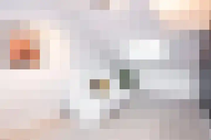 Duivenkamp 77 Maarssen thumbnail 40