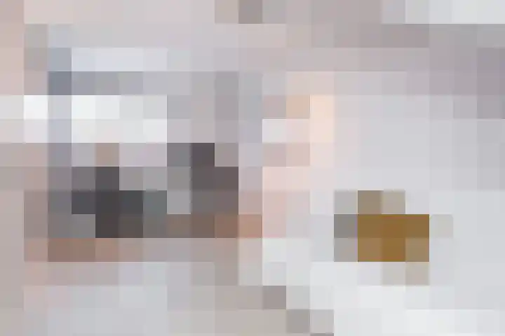 Duivenkamp 77 Maarssen thumbnail 42