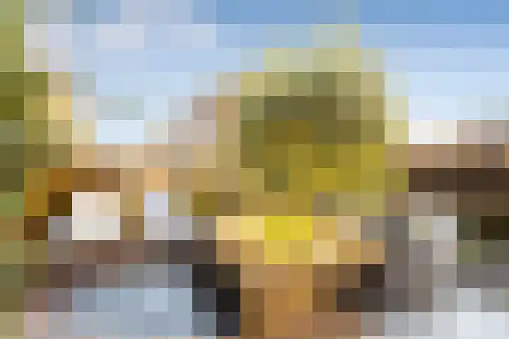Duivenkamp 77 Maarssen thumbnail 48