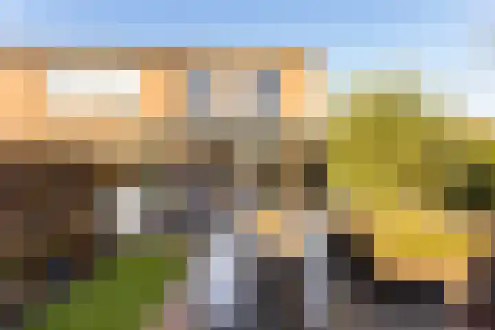 Duivenkamp 77 Maarssen thumbnail 54