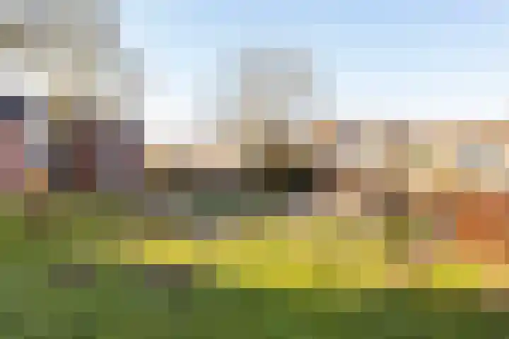 Duivenkamp 77 Maarssen thumbnail 58