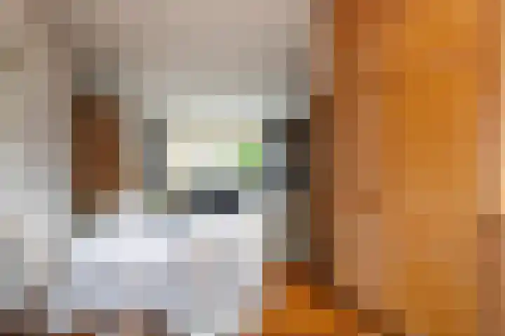 Duivenkamp 83 Maarssen thumbnail 12