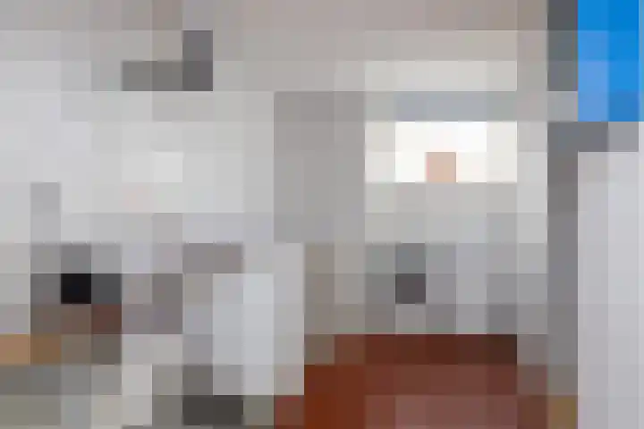 Duivenkamp 83 Maarssen thumbnail 14