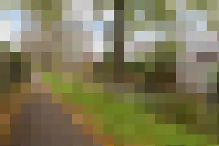 Duivenkamp 83 Maarssen thumbnail 25